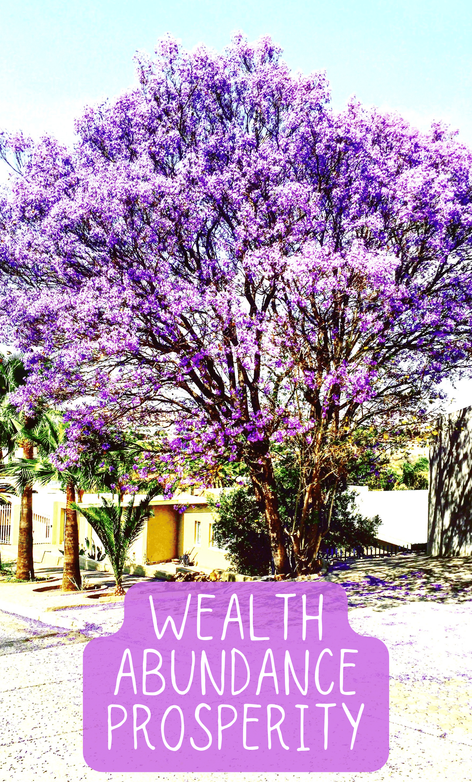 281-ebook-covers-25-1712596514336.png