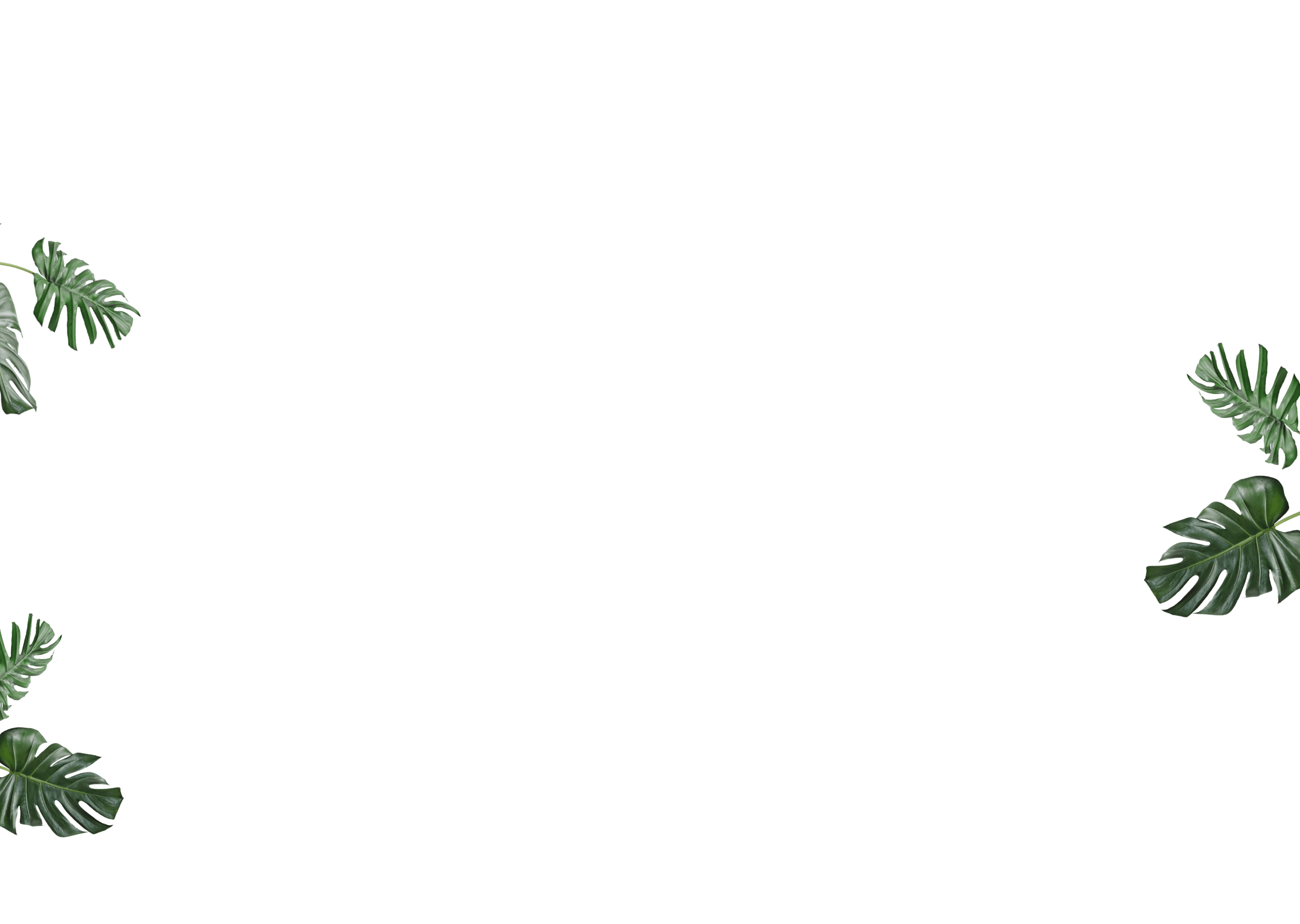 81-r212-desktop---5-3-1.png